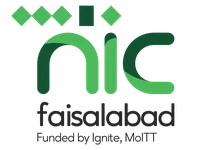 NIC Faisalabad